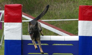 Agility Toestellen Muur