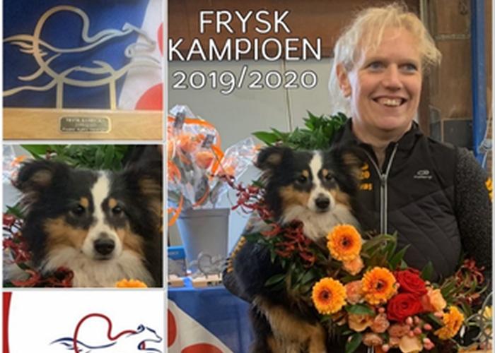 Fryske Agility Kampioen